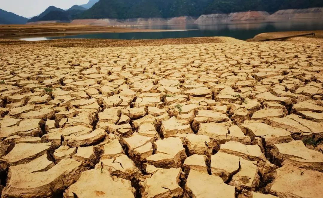 枫树坝水库水位降低近日我市旱情明显天气持续干旱自去年入冬以来河源