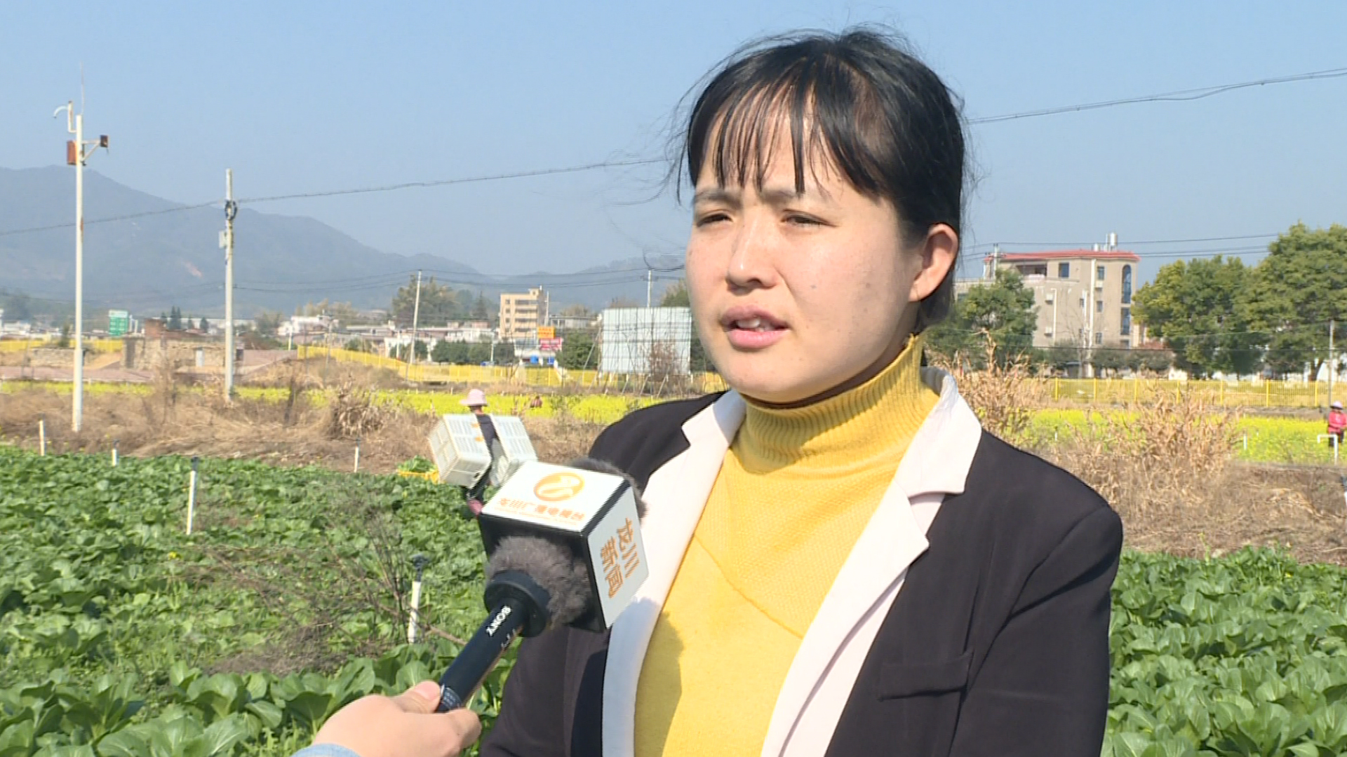 龍川縣農業農村局農產品質量安全監管與市場信息股股長楊建英說道: