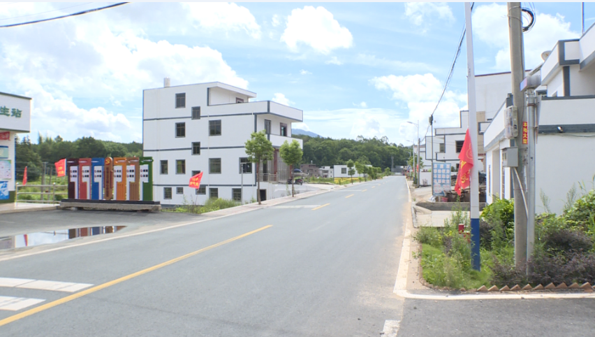 乡村振兴龙川县通衢镇旺宜村产业振兴赋予乡村更旺盛的生命力