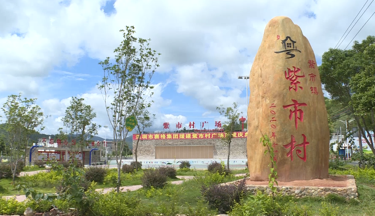 小康圆梦龙川县紫市镇产业有金致富有道