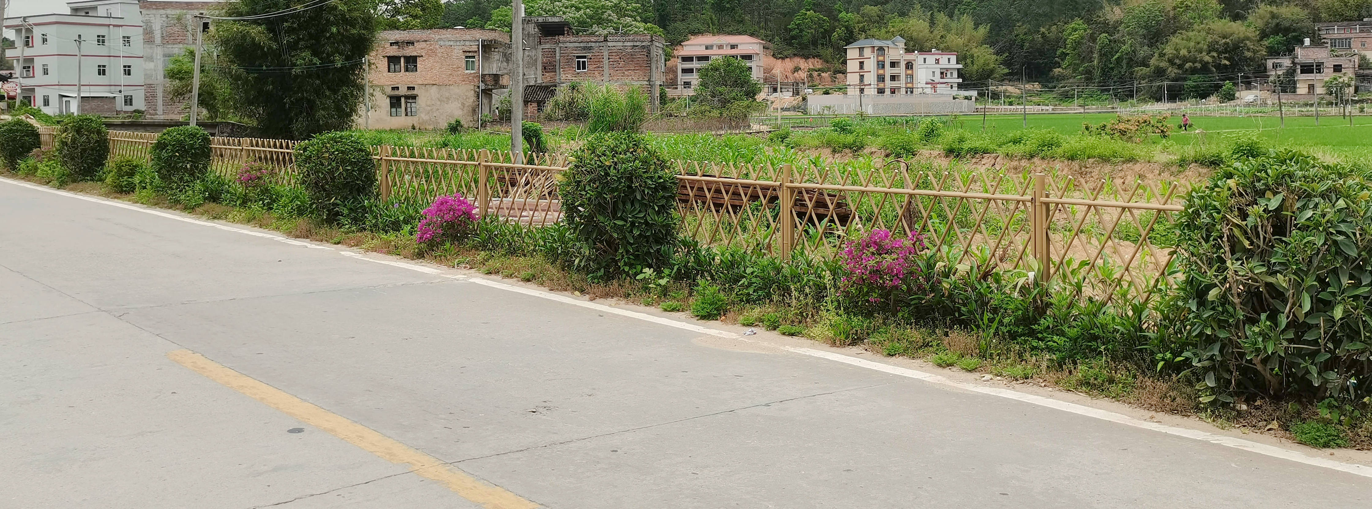 田心镇打造环霍山风景区村庄风貌提升示范带建设 圆点直播